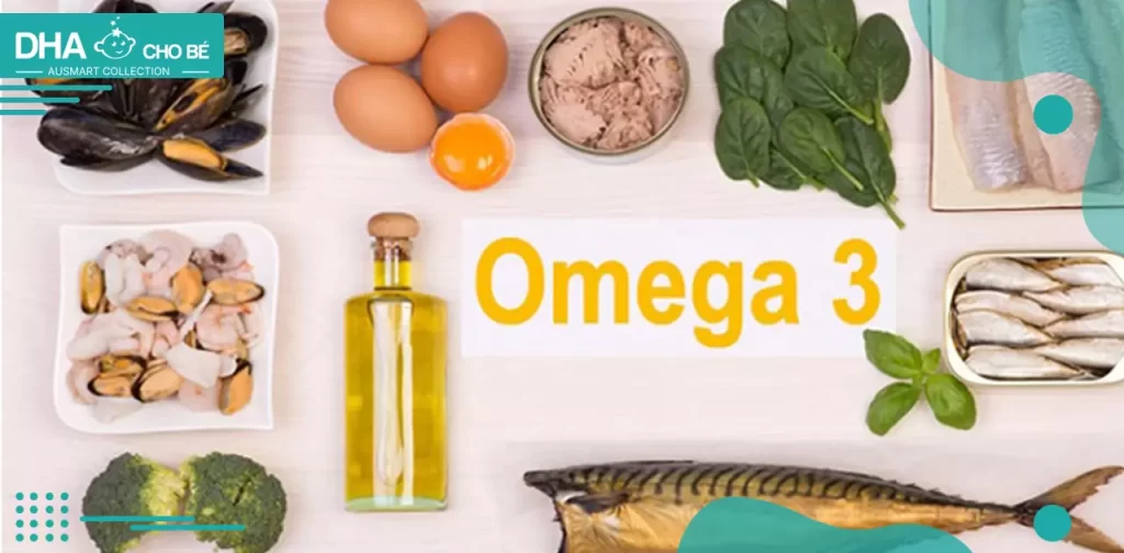 omega 3 có trong chất béo